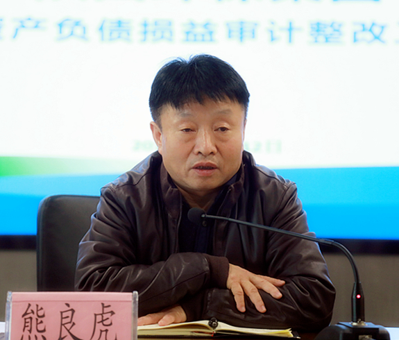 亚星yaxin集团召开2018年度资产欠债损益审计整改事情安排聚会